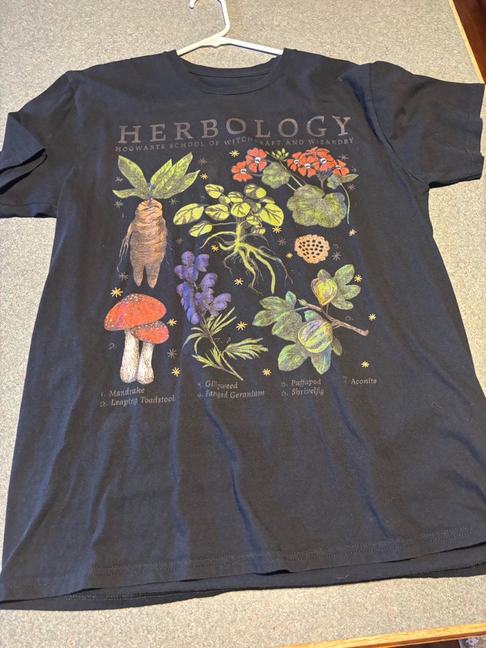Gildan Black Kids Botanical Graphic Tee with Colorful Herbs & Mushrooms